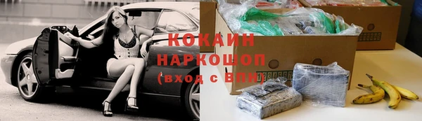 тгк Новозыбков