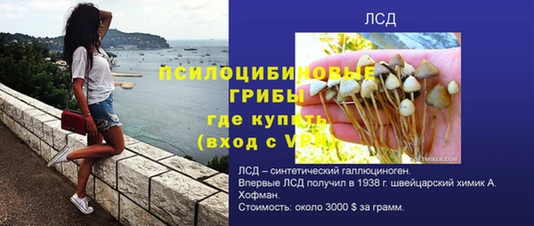 тгк Новозыбков